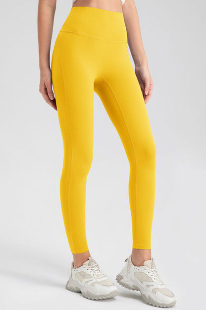 High Waist Active Pants