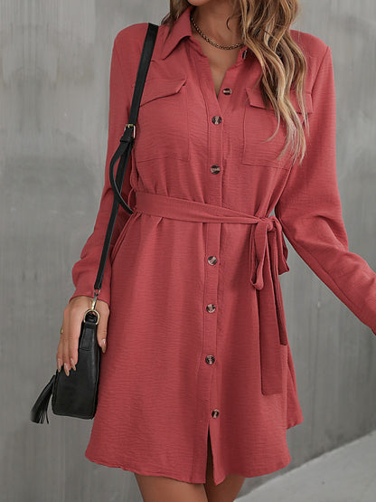 Belted Long Sleeve Dress