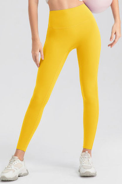 High Waist Active Pants